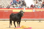 El Chino Torero deparó una mañana de lo más festiva