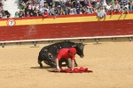 El Chino Torero deparó una mañana de lo más festiva