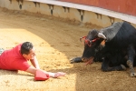 El Chino Torero deparó una mañana de lo más festiva