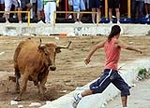 Vacas Lunes después del Encierro