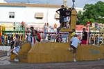 Vacas Lunes después del Encierro