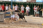 Vacas Lunes después del Encierro