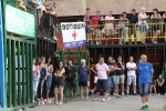 Vacas Lunes después del Encierro