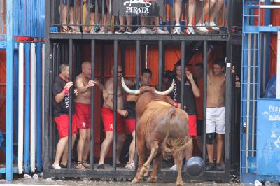 Fotografia /Gallery/34130_18874/2_M1.jpg