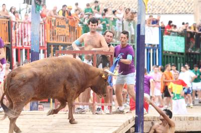 Fotografia /Gallery/34130_18874/5_M1.jpg