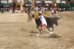 Un encierro rápido y sin graves consecuencias