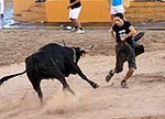 Tres minutos de encierro, pero con una cogida en la prueba de las vaquillas