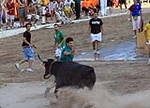 Tres minutos de encierro, pero con una cogida en la prueba de las vaquillas