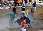 Tres minutos de encierro, pero con una cogida en la prueba de las vaquillas