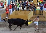 Tres minutos de encierro, pero con una cogida en la prueba de las vaquillas