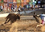 Tres minutos de encierro, pero con una cogida en la prueba de las vaquillas