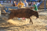 Tres minutos de encierro, pero con una cogida en la prueba de las vaquillas