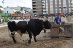 Encierro Viernes la Vall