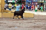 Encierro Viernes la Vall