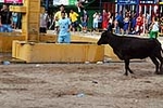 Encierro Viernes la Vall