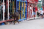 Encierro Viernes la Vall