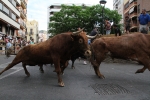 Encierro Viernes la Vall