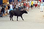 Encierro Viernes la Vall