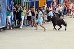 Encierro Viernes la Vall