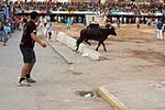 Encierro Viernes la Vall