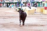 Encierro Viernes la Vall