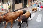 Encierro Viernes la Vall