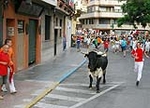 Encierro Viernes la Vall