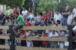 Los toros de Laurentino Carrascosa protagonizan un encierro muy limpio