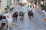 Los toros de Laurentino Carrascosa protagonizan un encierro muy limpio
