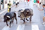 Los toros de Laurentino Carrascosa protagonizan un encierro muy limpio
