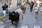 Los toros de Laurentino Carrascosa protagonizan un encierro muy limpio