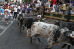 Los toros de Laurentino Carrascosa protagonizan un encierro muy limpio