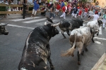 Los toros de Laurentino Carrascosa protagonizan un encierro muy limpio