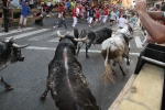 Los toros de Laurentino Carrascosa protagonizan un encierro muy limpio