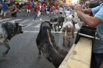 Los toros de Laurentino Carrascosa protagonizan un encierro muy limpio