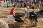 Los toros de Laurentino Carrascosa
