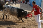 Los toros de Laurentino Carrascosa