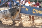 Los toros de Laurentino Carrascosa