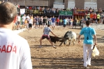Los toros de Laurentino Carrascosa