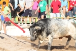 Los toros de Laurentino Carrascosa