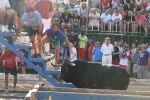 Los toros de Laurentino Carrascosa
