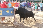 Los toros de Laurentino Carrascosa