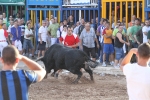Los toros de Laurentino Carrascosa