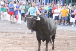 Los toros de Laurentino Carrascosa