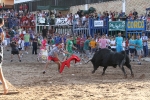 Los toros de Laurentino Carrascosa