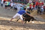 Los toros de Laurentino Carrascosa