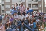 Los toros de Laurentino Carrascosa