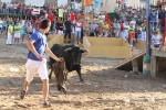 Los toros de Laurentino Carrascosa