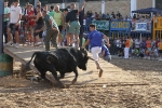 Los toros de Laurentino Carrascosa