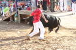 Los toros de Laurentino Carrascosa